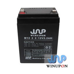安防EPS電源蓄電池 系統(tǒng)持續(xù)運(yùn)行的守護(hù)者
